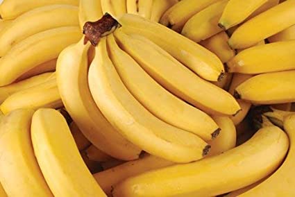 Need Banana to export | අපනයනයට සුදුසු කෙසෙල් අවශ්‍යයි