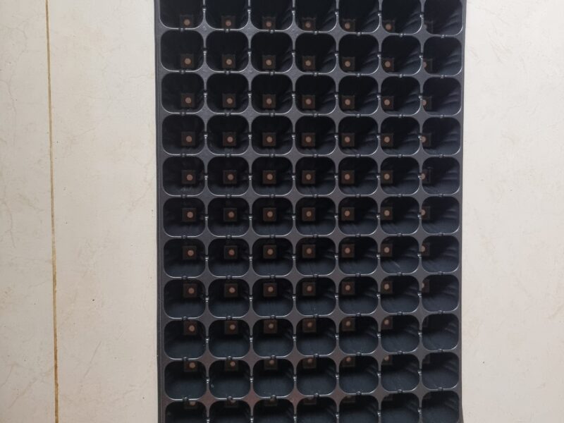 Plant seeding tray 105 halls| පැළ තවාන් තැටි