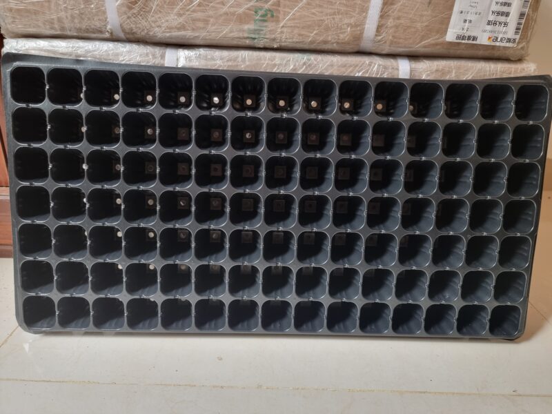 Plant seeding tray 105 halls| පැළ තවාන් තැටි